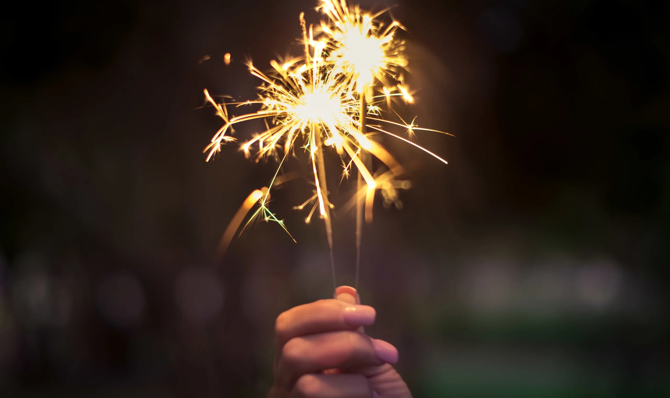 Nos bonnes résolutions pour 2019 !