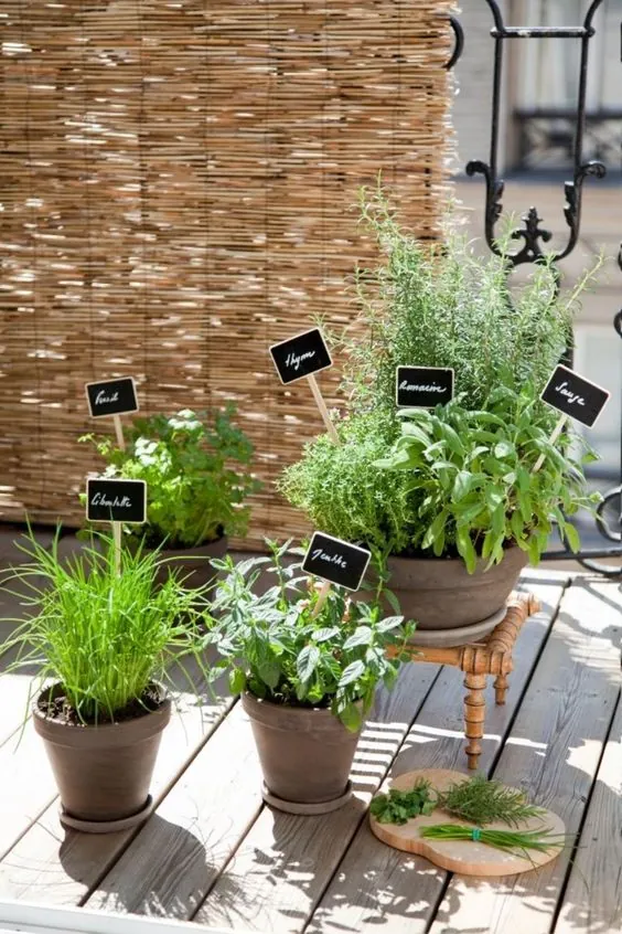 Un potager en ville ? C’est possible !